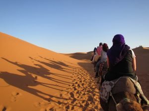 Riders on camels in desert