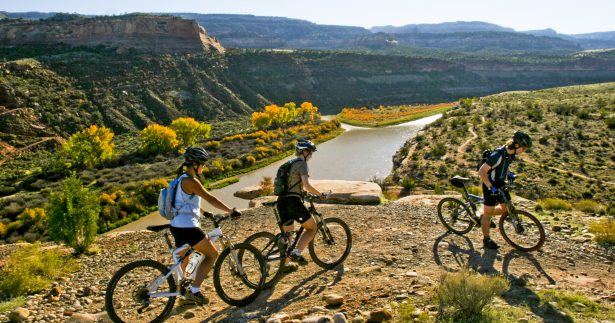 Image of Whip Out Your Bike And Trailblaze These Brand New Colorado Trails