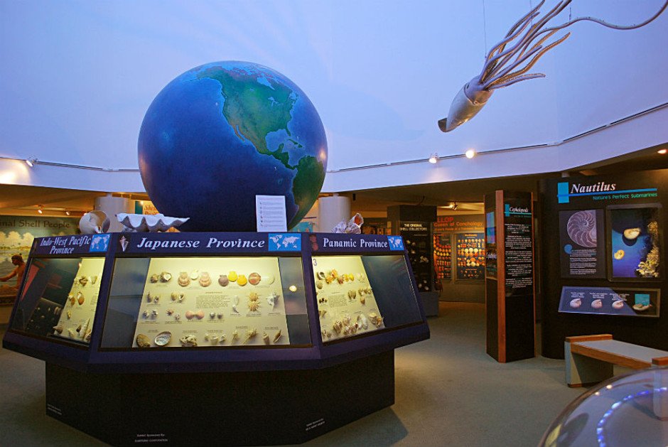 bailey matthews national shell museum