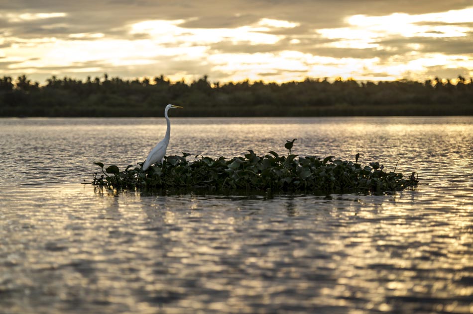 laguna-de-tres-palos