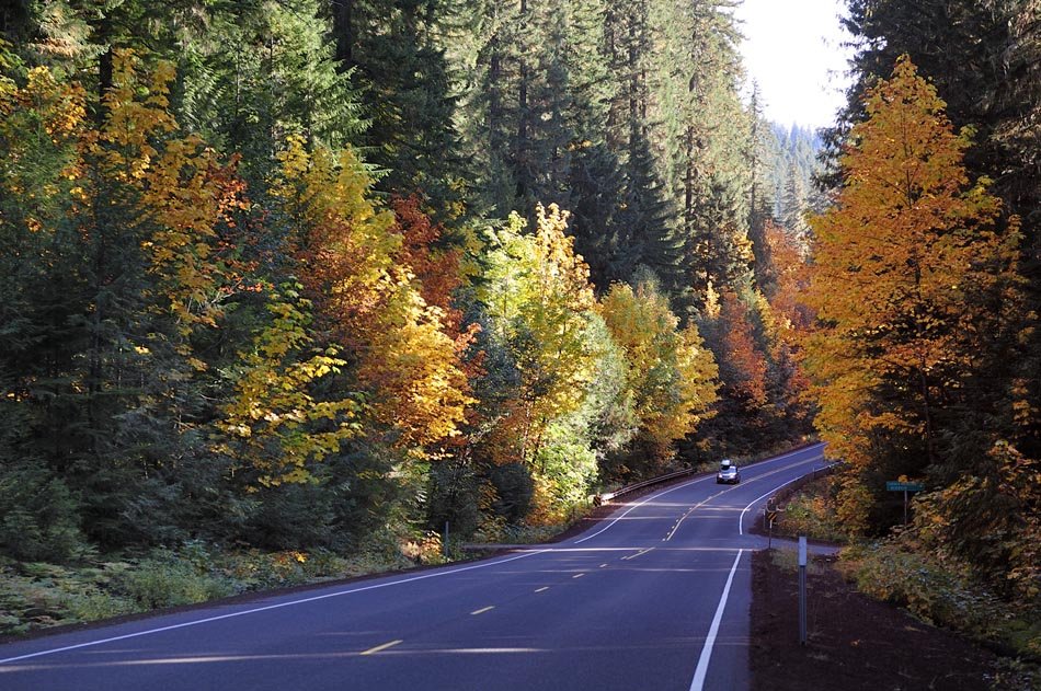 Oregon Route 126; Highway; foliage; fall colors