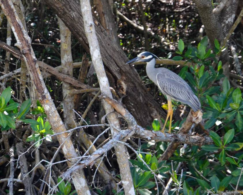 Southwest Florida