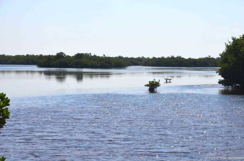 Southwest Florida