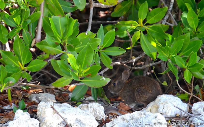 Southwest Florida