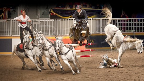 Image of Experience The Royal Winter Fair in Toronto, Canada