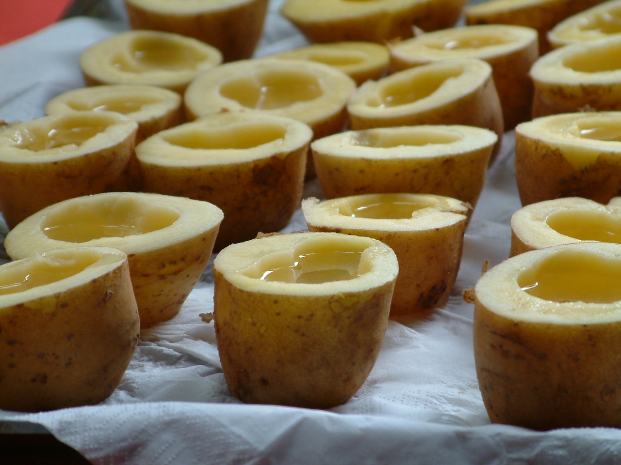 Potato Hotel