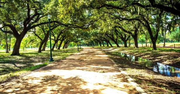 Image of The Healing Power Of ‘Forest Bathing’: What It Is & The Best Places To Do It In Houston