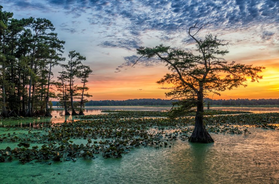 Mississippi river Family