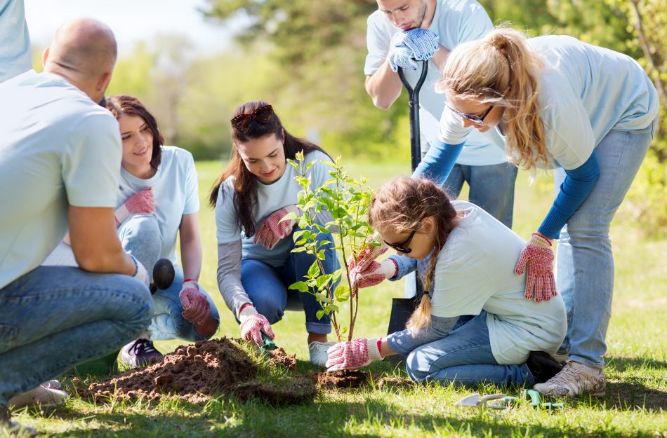 volunteer Family