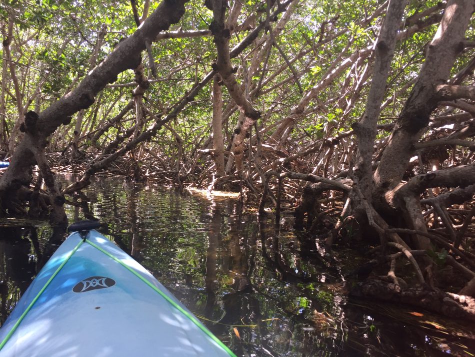 Florida Keys