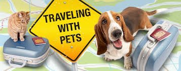 Traveling Pets