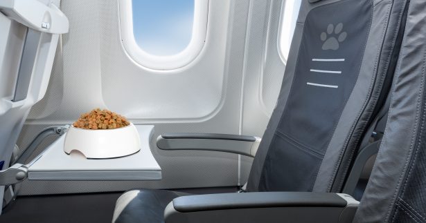 Image of Plane Food: Why Is It So Bad And Can We Do Anything?