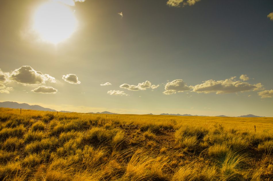 Sonoita