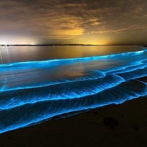 Glowing Blue Waves