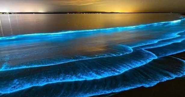 Image of Glowing Blue Waves in California