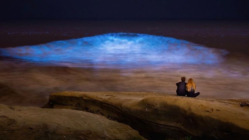 bioluminescent glowing blue waves