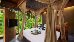 Luxury treehouse in Phuket