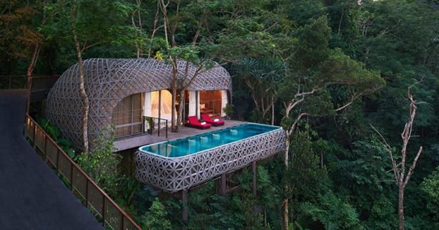 Image of Luxury Treehouses in Thailand