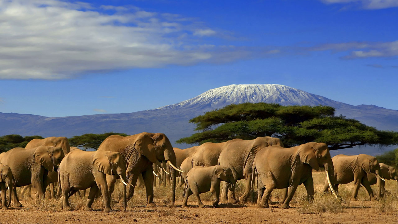 Africa