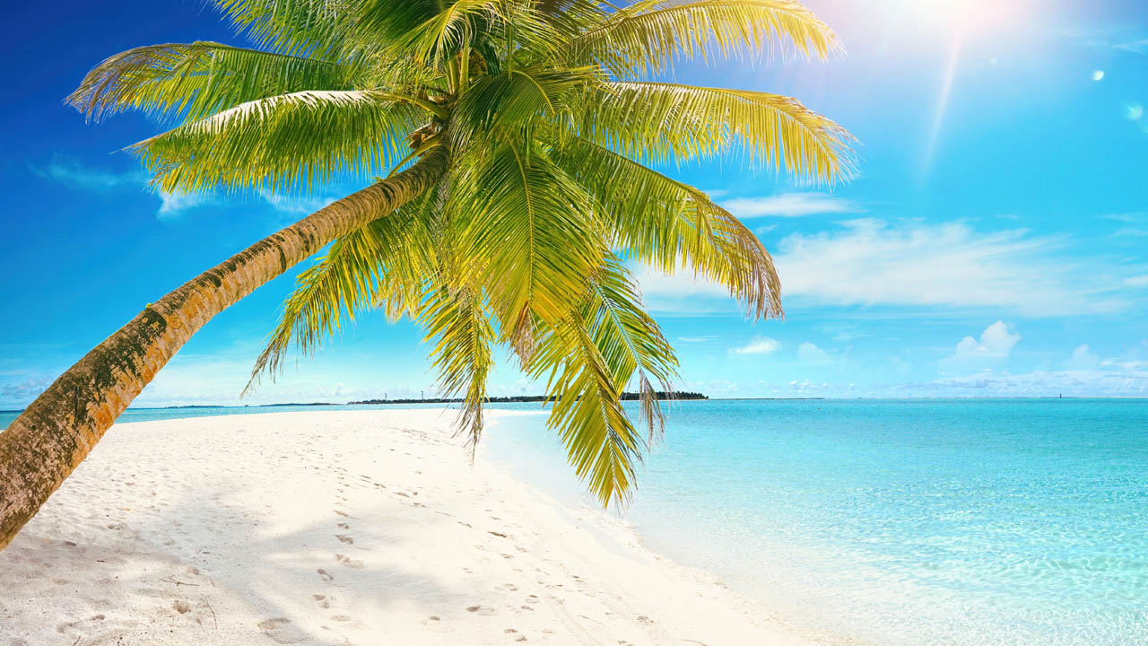 Caribbean