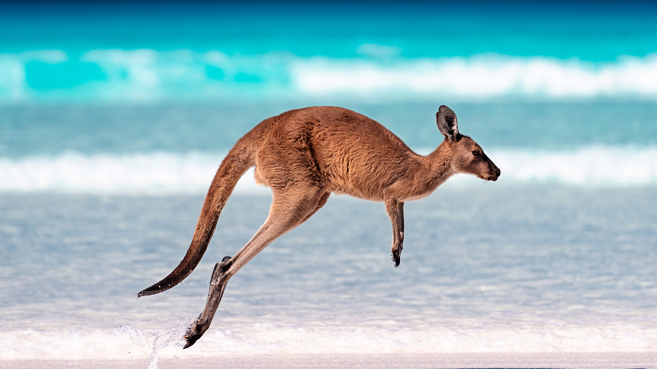 Oceania