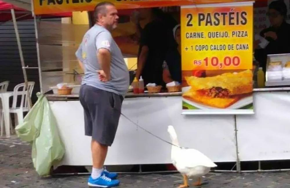 It's not uncommon for people to have pet ducks in Brazil, and it's more socially accepted than in some other countries.