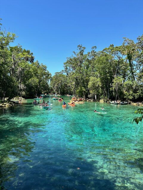 Three Sisters Springs, Crystal River, Florida