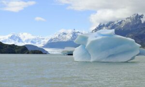Patagonia