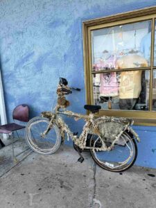 Tarpon Springs