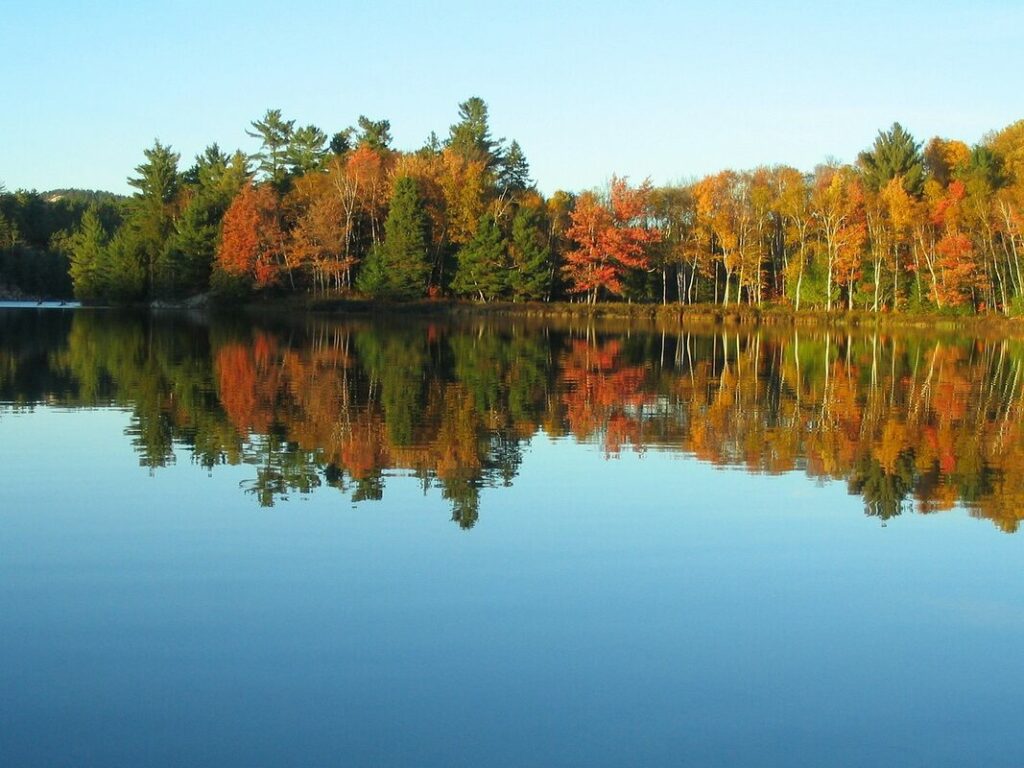 Fall Foliage