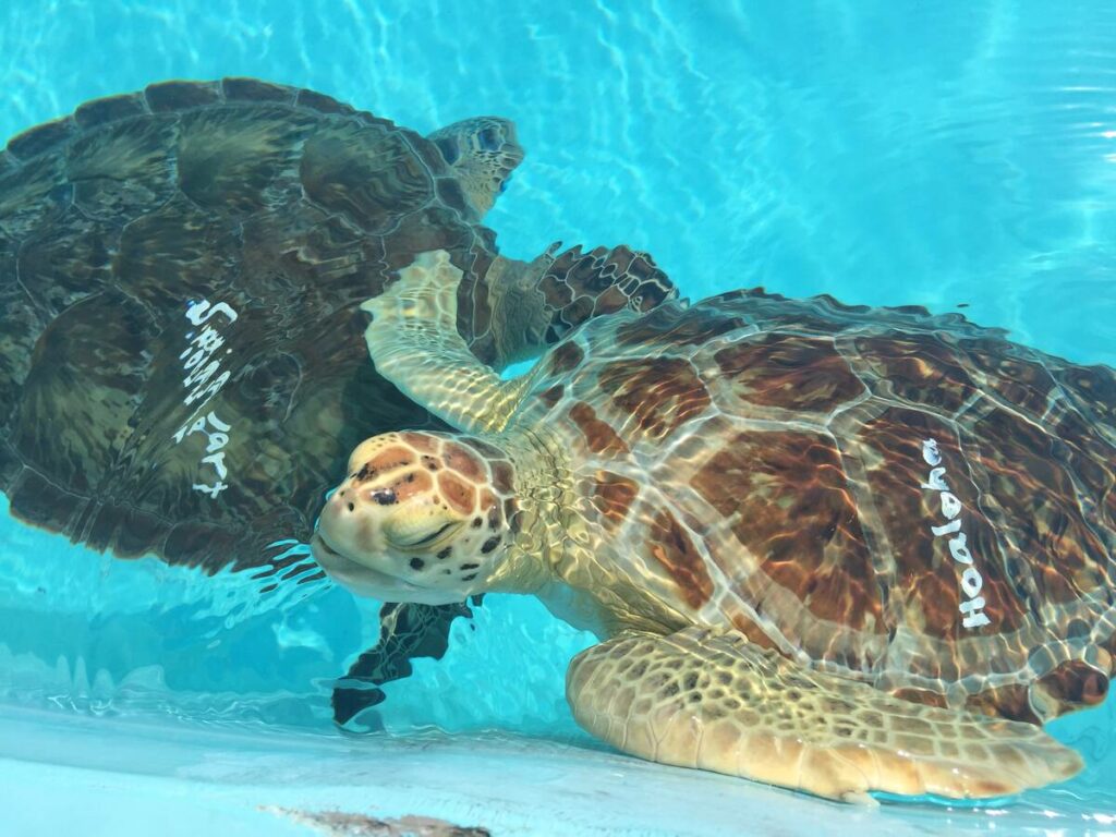 Florida Keys, Paul Menta