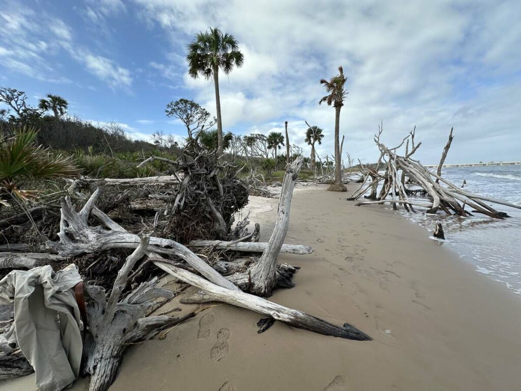 Florida’s History