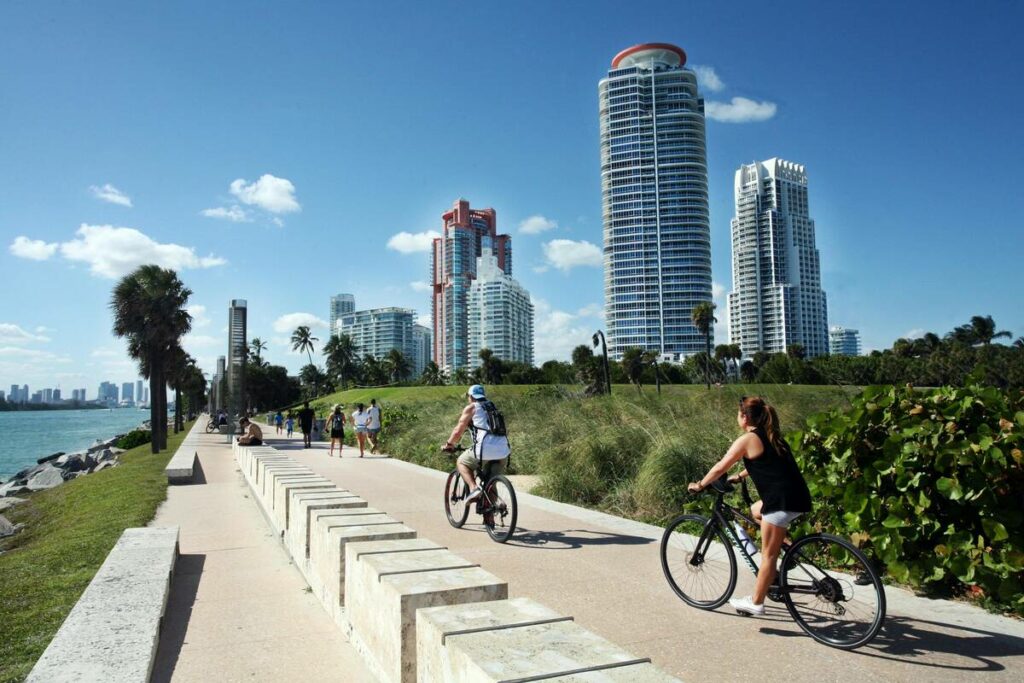 Explore Miami one perfect day