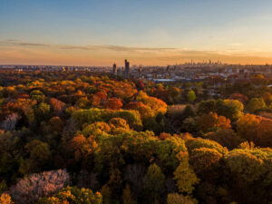 Exploring the bronx