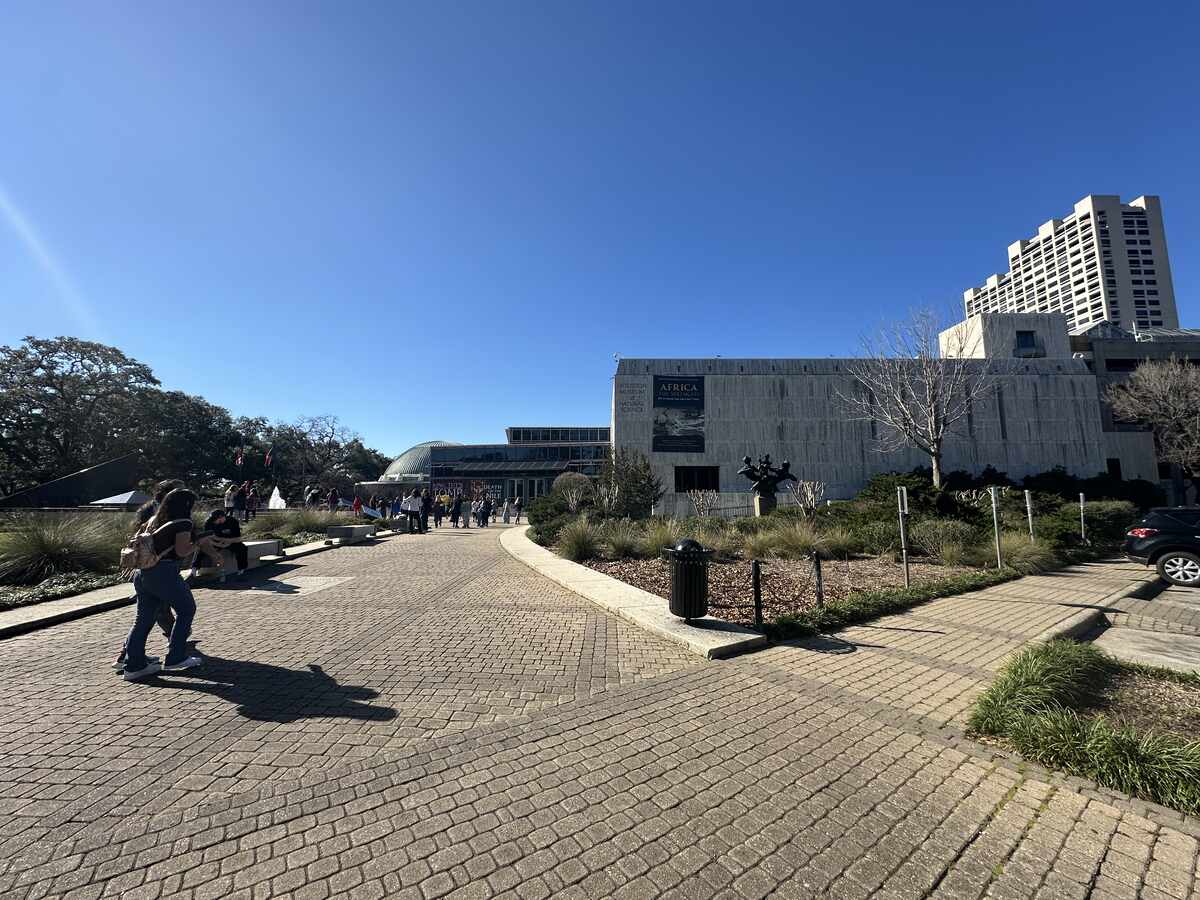 Why the Houston Museum of Natural Science is a Must-Visit