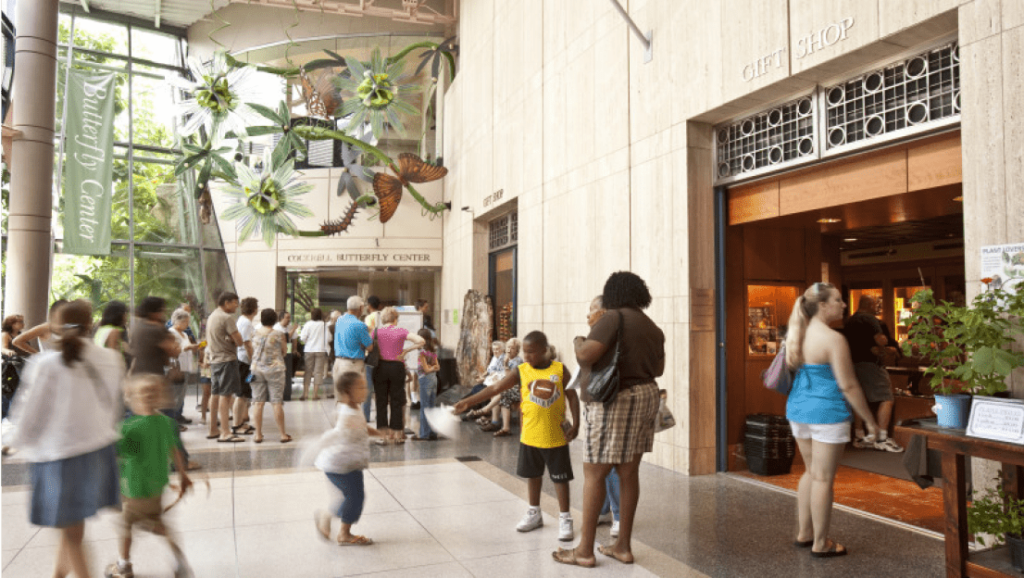 Why the Houston Museum of Natural Science is a Must-Visit