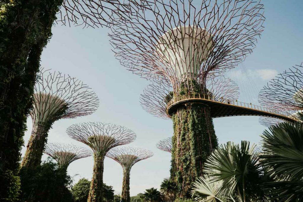 10 Must See Botanical Gardens Around the World