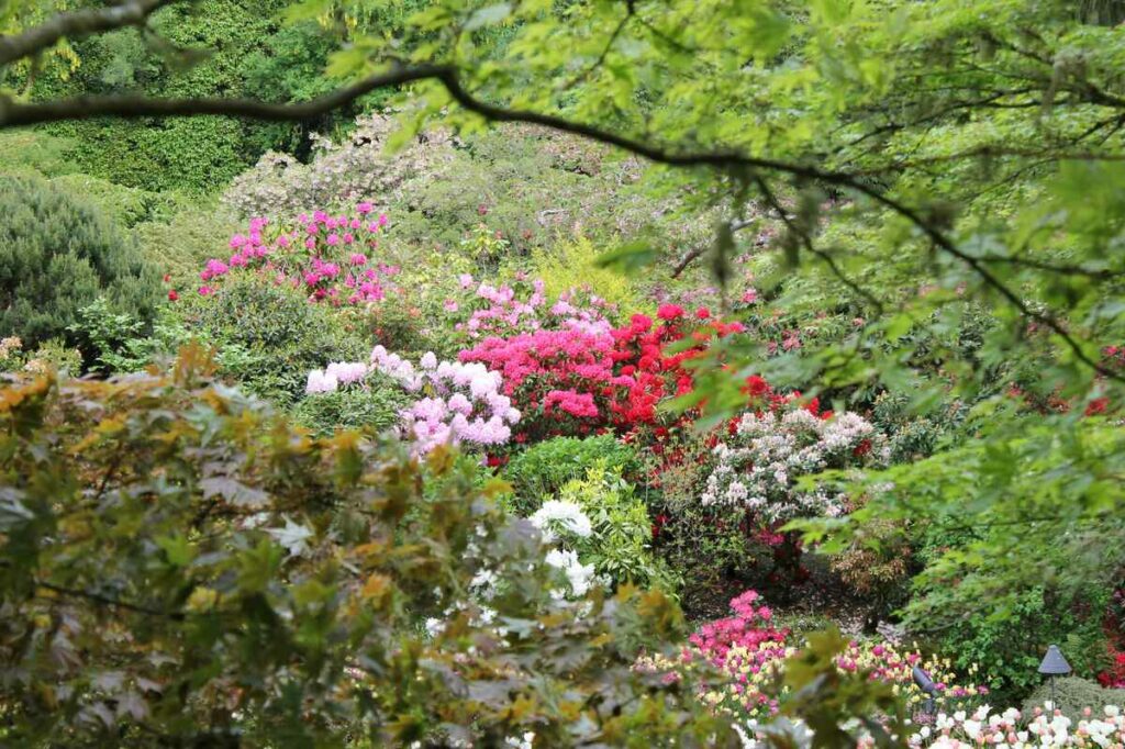 10 Must See Botanical Gardens Around the World