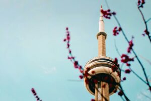 Toronto in Bloom: 8 Ways to Celebrate Spring in the City