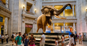 Visitors at the Main Hall of the National Museum of Natural History in Washington D.C.