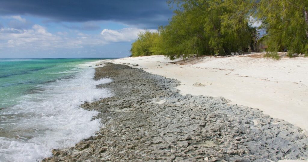 Shutterstock Corals at the beach of Aldabra Atoll, Seychelles