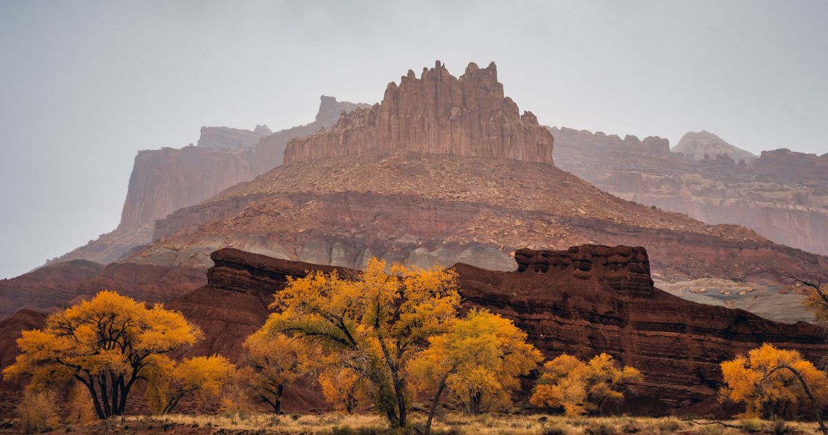 Stormy Autumn Colors in Capitol Reef, Capitol Reef National Park, Utah