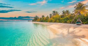 Calm sea water waves with palm trees during sunset