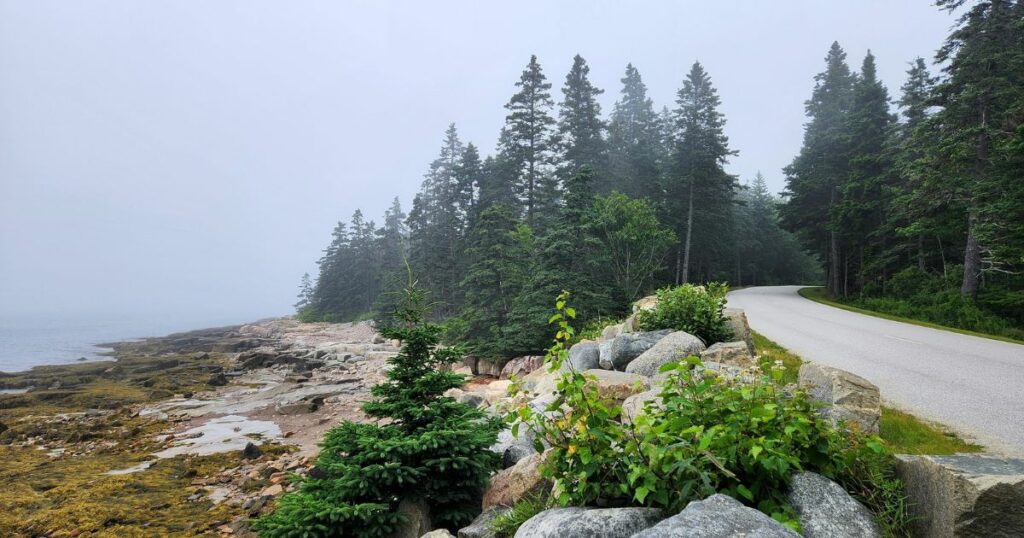 Shutterstock Empty coastal road, Schoodic Peninsula, Maine