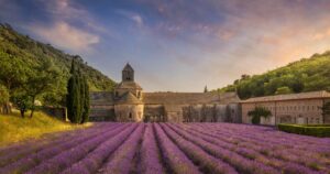 The Abbey of Senanque and the rows of lavender flowers in bloom, panoramic view at sunset. Gordes, Vaucluse department, Provence-Alpes-Cote d'Azur region, France, Europe.