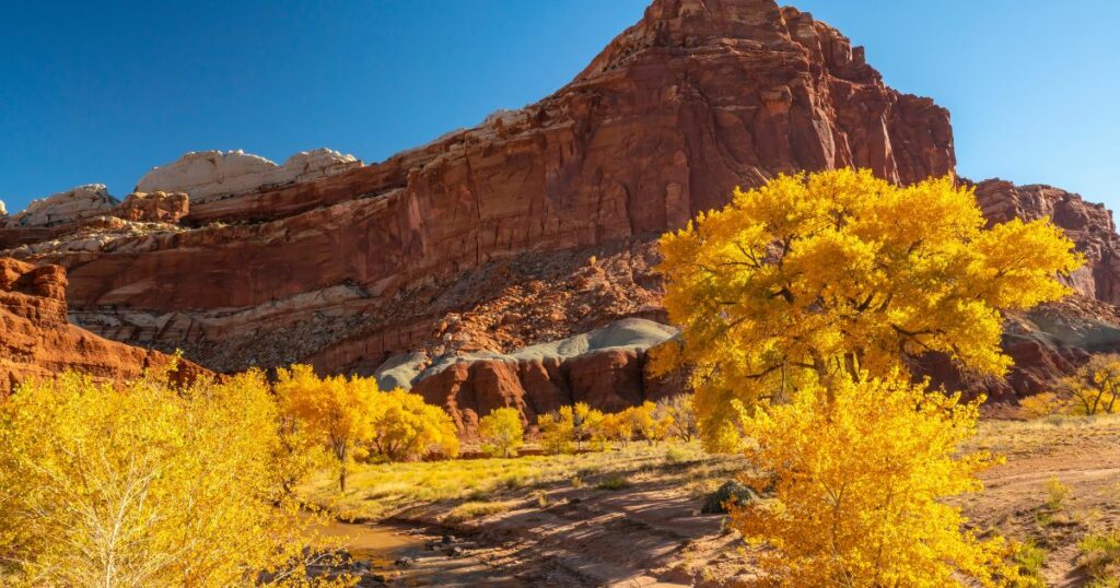 Shutterstock The Castle Rock formation and trees in autumn yellow color in Capitol Reef National Park