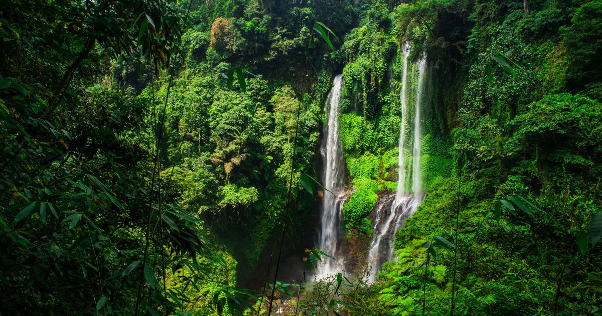 Sekumpul waterfall in Bali surrounded by tropical forest