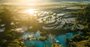 Aerial view of Weekacura waterfalls in Sumba, Indonesia
