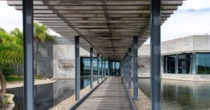Panoramic view of the vineyard from a terrace on a beautiful day with a blue sky