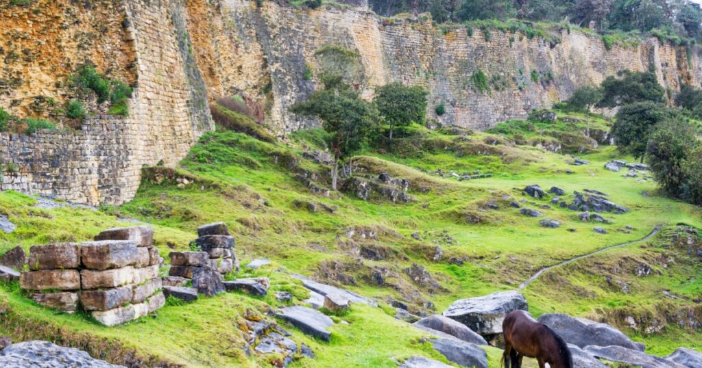 Horse grazing in front of the ancient walls of the fortress city of Kuelap, Peru